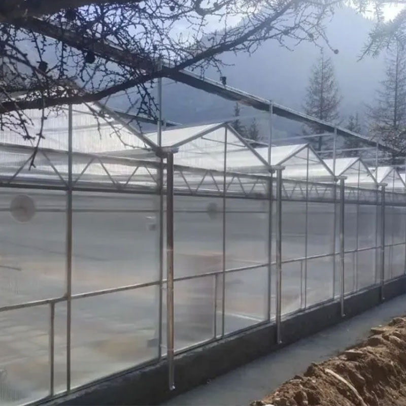 阳光板温室